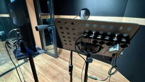 استودیو دوبله؛ دوبله فیلم و سریال به صورت حرفهای 4 ضبط صدای دوبله در dead room استودیو فردا