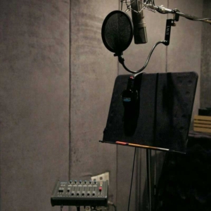 استودیو دوبله؛ دوبله فیلم و سریال به صورت حرفهای 2 ضبط دوبله به زبانهای فارسی، انگلیسی، عربی و کردی