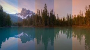 مقایسه وایت بالانسها یا ترازهای سفیدی در عکاسی به ما کمک می کند به اهمیت دمای رنگ در تصویر برداری توجه کنیم.